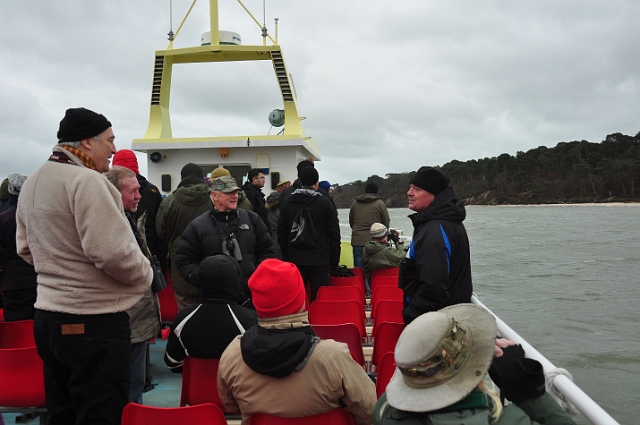 01 01 16_0227.JPG - POOLE HARBOUR BIRD BOAT - NEW YEARS DAY 2016